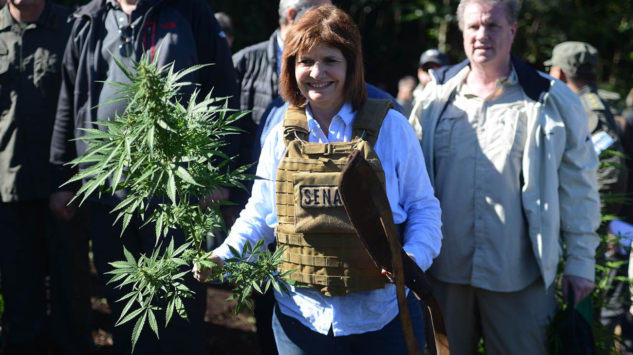 Patrcia Bullrich y el Presidente de Paraguay recorren plantaciones de marihuana en la ciudad de Pedro Juan caballero 