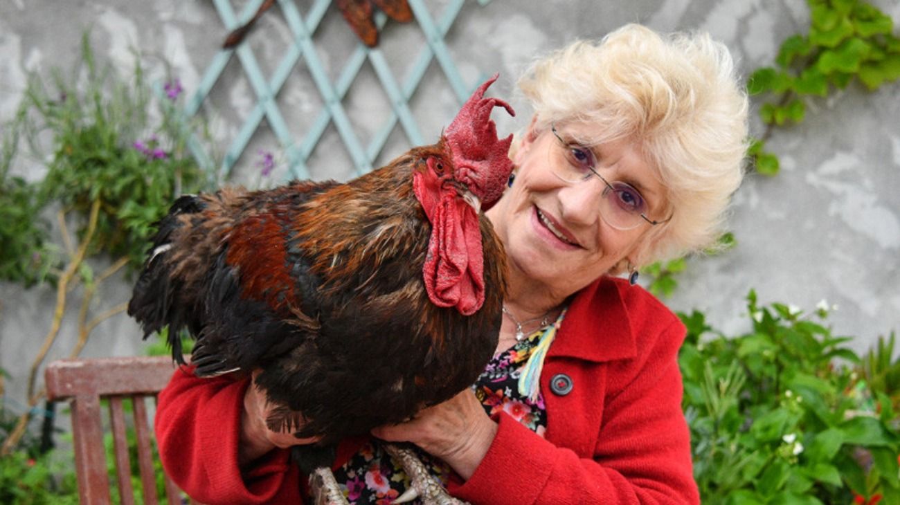 Corine Fesseau, propietaria del gallo Maurice, posa en una foto junto al animal.