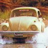 Volkswagen Escarabajo
