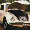 Volkswagen Escarabajo