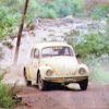 Volkswagen Escarabajo