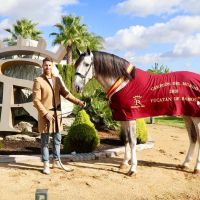 Conocé la majestuosa finca sevillana donde Sergio Ramos hará su boda