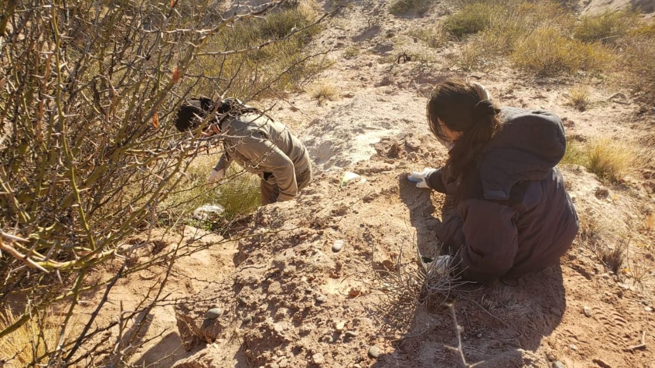 Los restos habían sido hallados por un grupo de alumnos de geología de la Facultad de Ingeniería mientras realizaban salidas de campo con un profesor. 