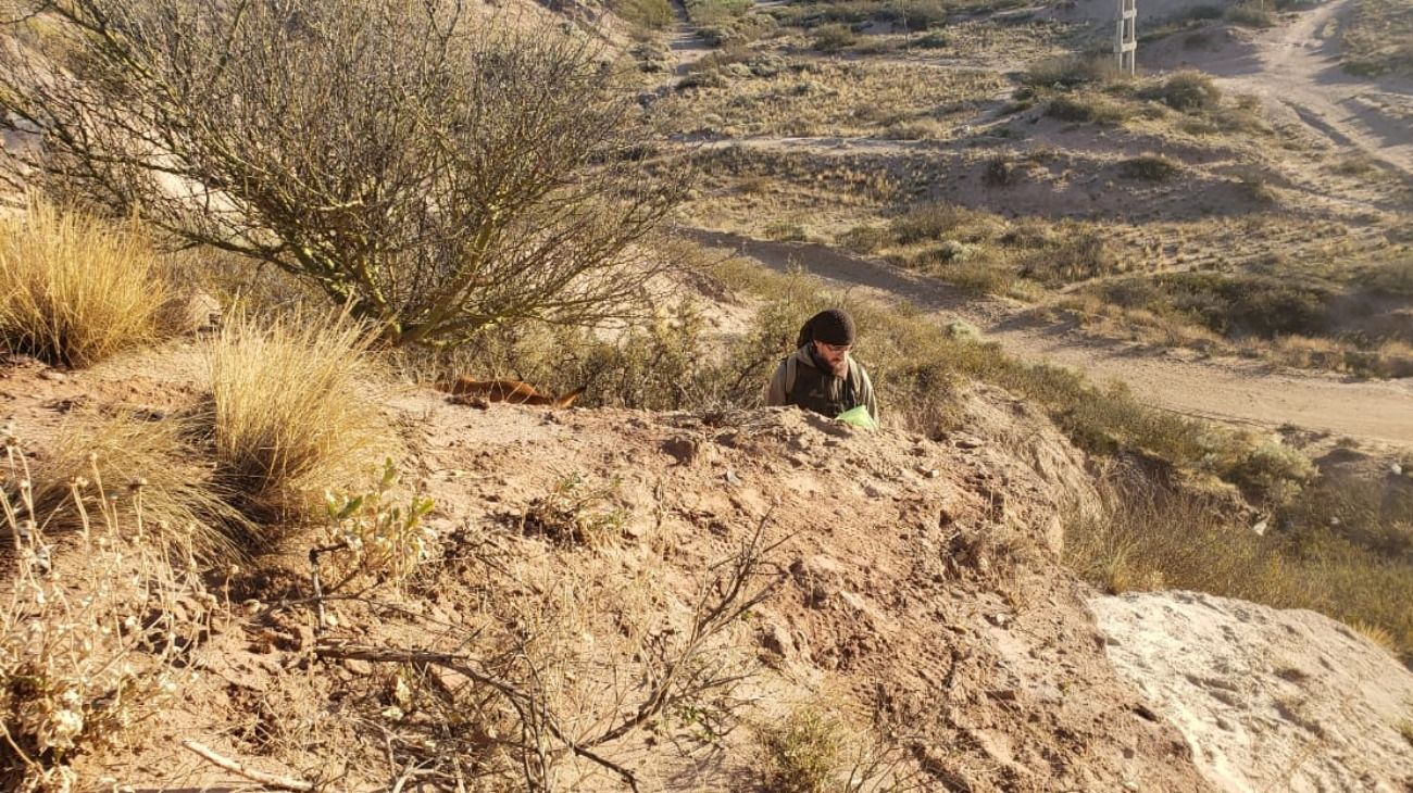 Los restos habían sido hallados por un grupo de alumnos de geología de la Facultad de Ingeniería.