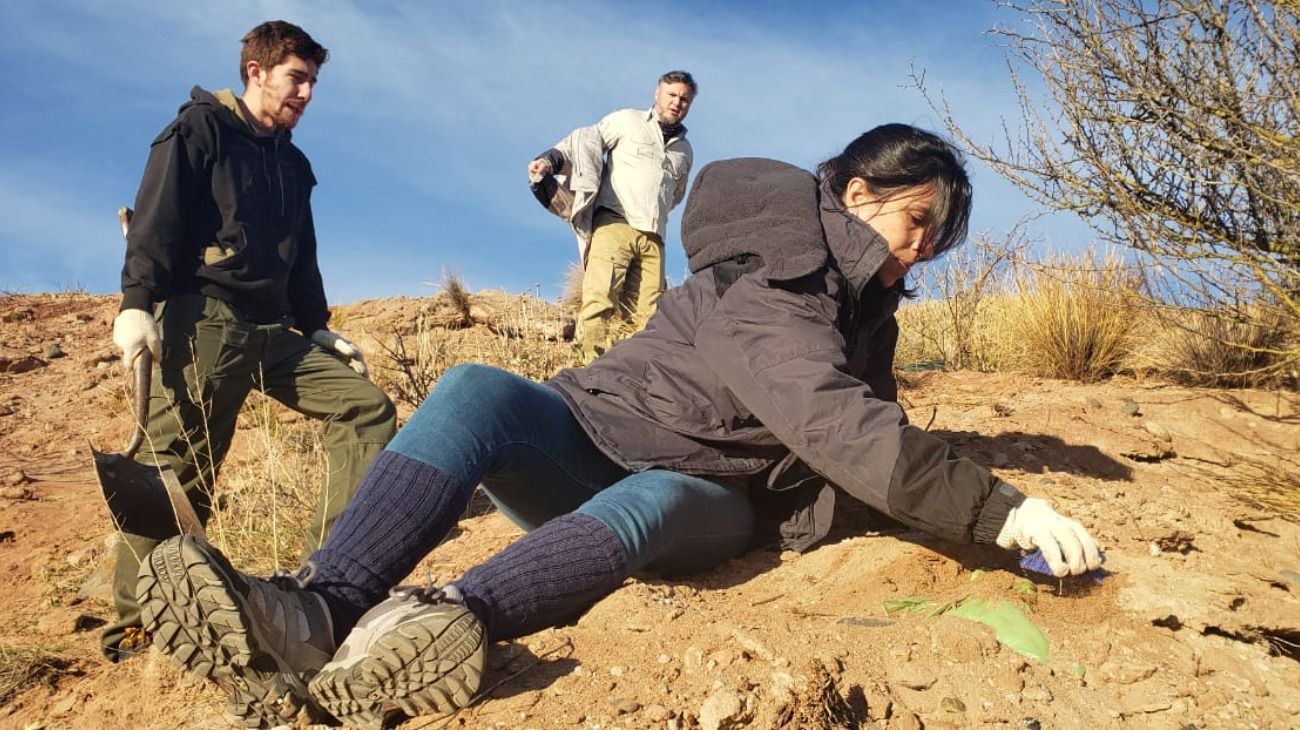 Los restos habían sido hallados por un grupo de alumnos de geología de la Facultad de Ingeniería mientras realizaban salidas de campo con un profesor. 