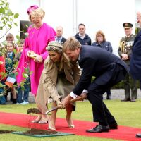 Maxima en Irlanda