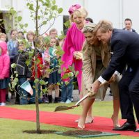 Maxima en Irlanda