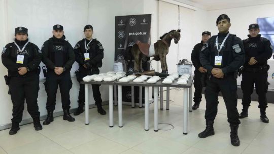 El caballito narco que llegó a Ezeiza.