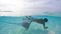 Snorkel con tiburones en la Polinesia Francesa