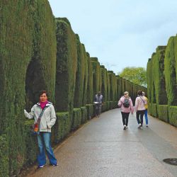 Los caminos de la Alhambra, plenos de verde y fuentes de agua. 