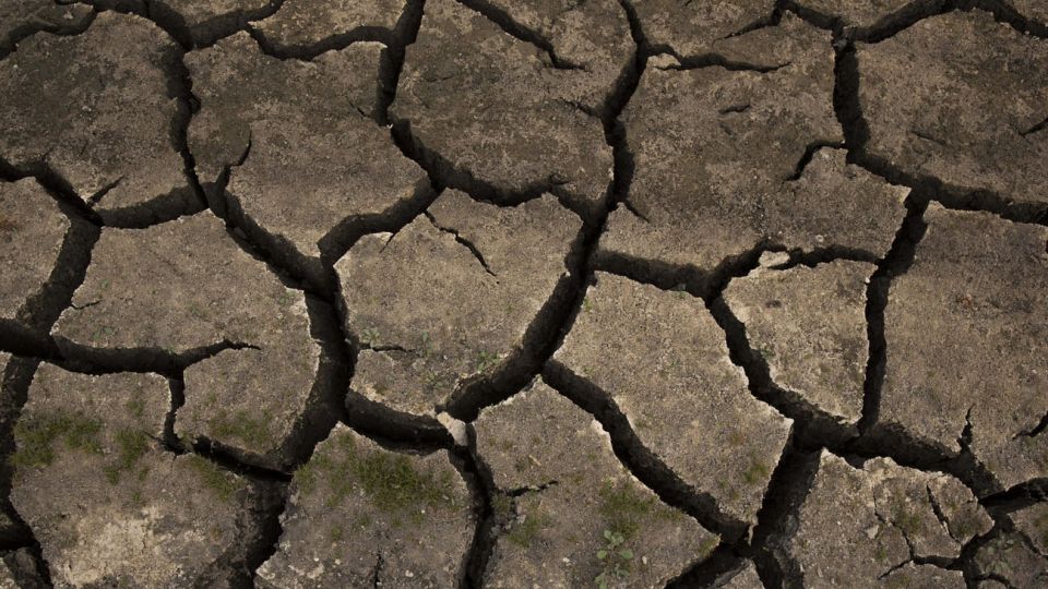 Calentamiento global consecuencias políticas