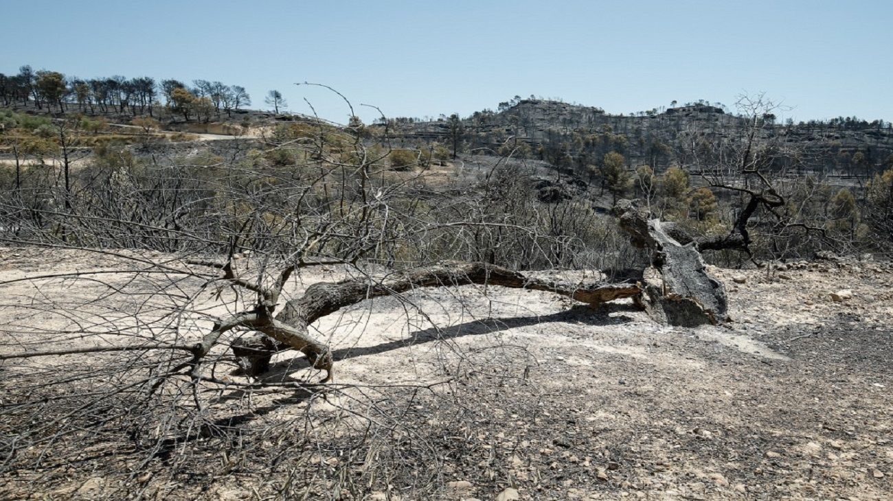 Ola de calor en Francia y España. Incendio en 6.500 hectáreas.