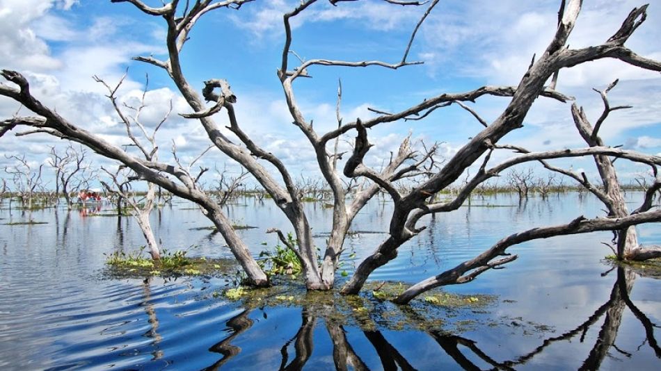 El Bañado La Estrella posee riquezas de flora y fauna de gran importancia.