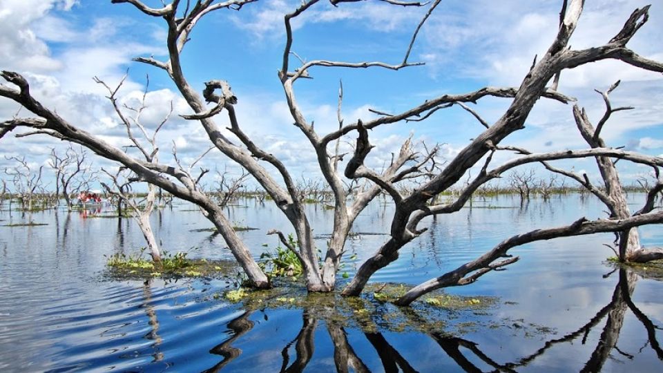 El Bañado La Estrella posee riquezas de flora y fauna de gran importancia.