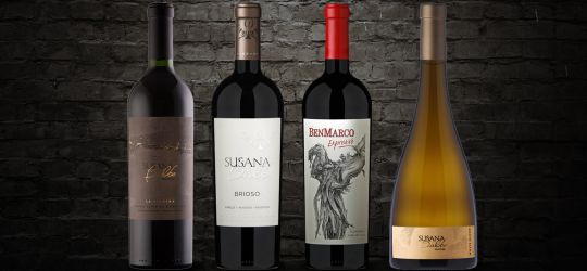 Los vinos premiados de Susana Balbo, ¡imperdibles!