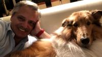 alberto-fernandez-y-su-perro