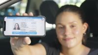 Si tramitás la licencia de conducir, tendrás que hacer un curso de identidad de género