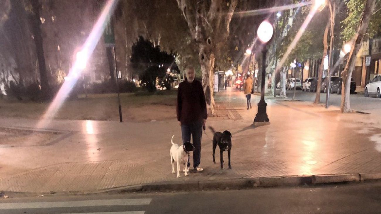 El "perro vaca" que engañó a estudiante de Rosario.