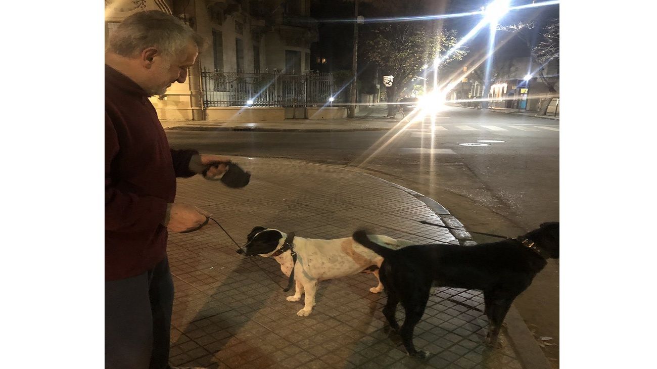 El "perro vaca" que engañó a estudiante de Rosario.