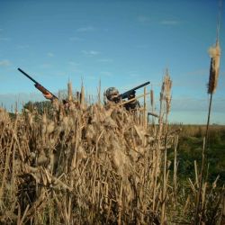 Aún con menos camuflaje, la tecnología del llamador fue efectiva. Y los patos, aunque en menor cantidad, siguieron entrando a la laguna donde los cazadores estaban apostados.