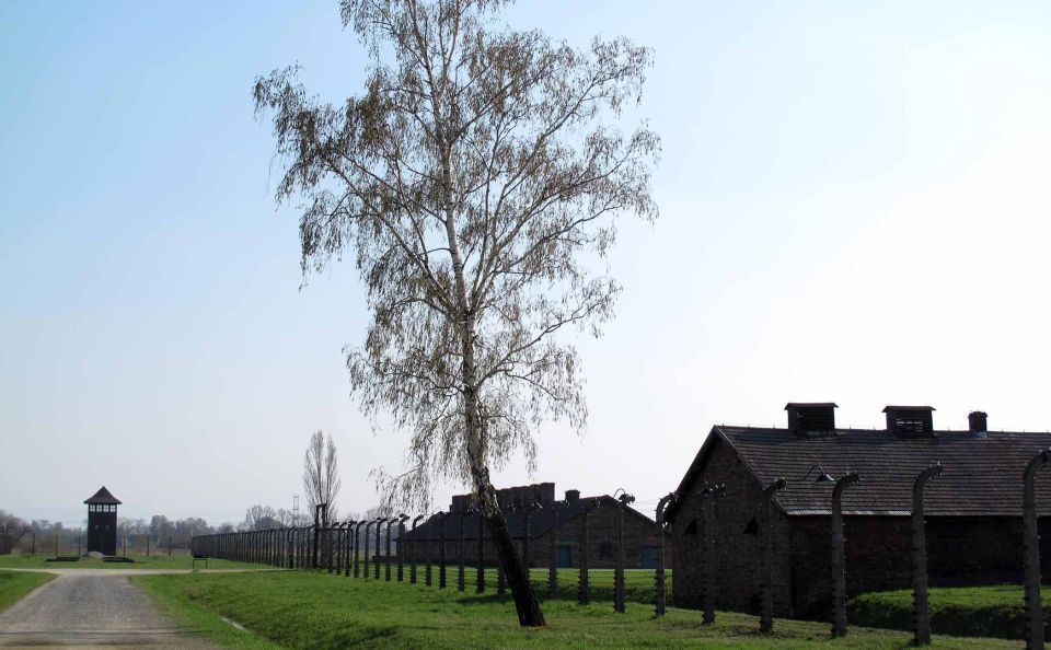 auschwitz 11072019