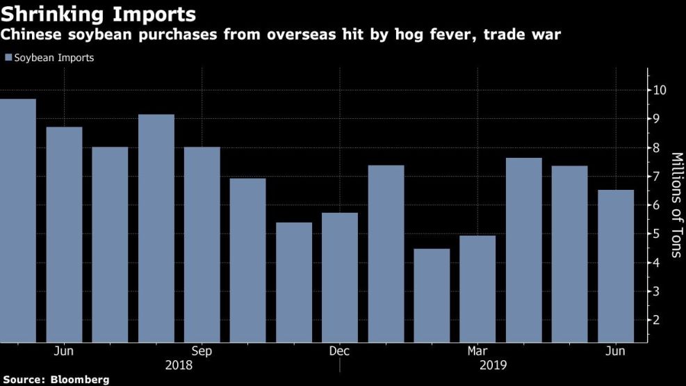 Chinese soybean purchases from overseas hit by hog fever, trade war