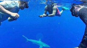 20190714_ginobili_hawaii_tiburon_igginobili_g.jpg