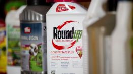 Bayer Keeps Roundup Faith After Losing Second Trial on Cancer