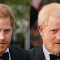 Faceapp Royals