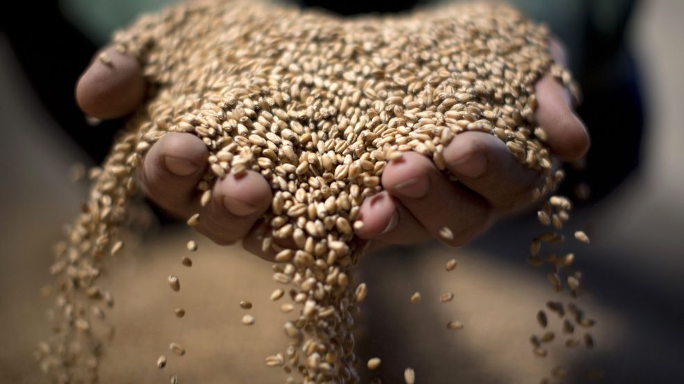 Feeding 10 Billion People Will Require Genetically Modified Food