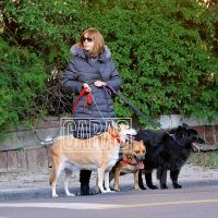 La vida de Anabela Ascar, la viuda del fundador de Crónica