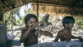 Descubrí a la tribu brasileña que lucha contra Jair Bolsonaro