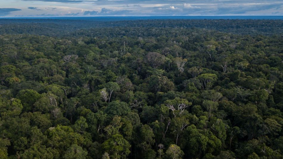 Views Of Amazonian States As Brazil Mine Disaster Prompts Bolsonaro To Rethink Environment