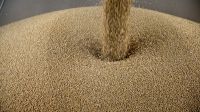 Soybeans And Corn As U.S.-China Trade Spat Means Crops Get Cheaper