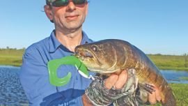 Los grubs (en la boca de la tararira) se mueven mejor usando anzuelos con la pata recubierta en plomo.
