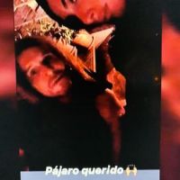 Sofía Bobelli, la tercera en discordia