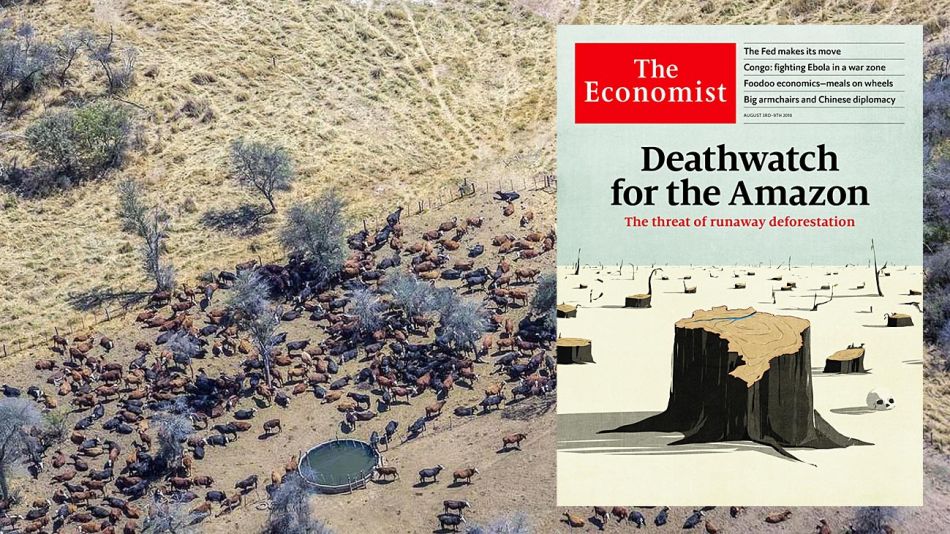 20190308_ganaderia_desmonte_economist_greenpeace_g.jpg