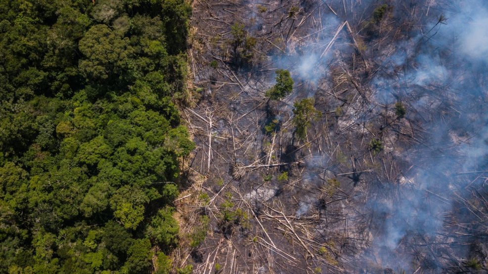 MIT-Trained Physicist Fired in Brazil in Spat Over Deforestation