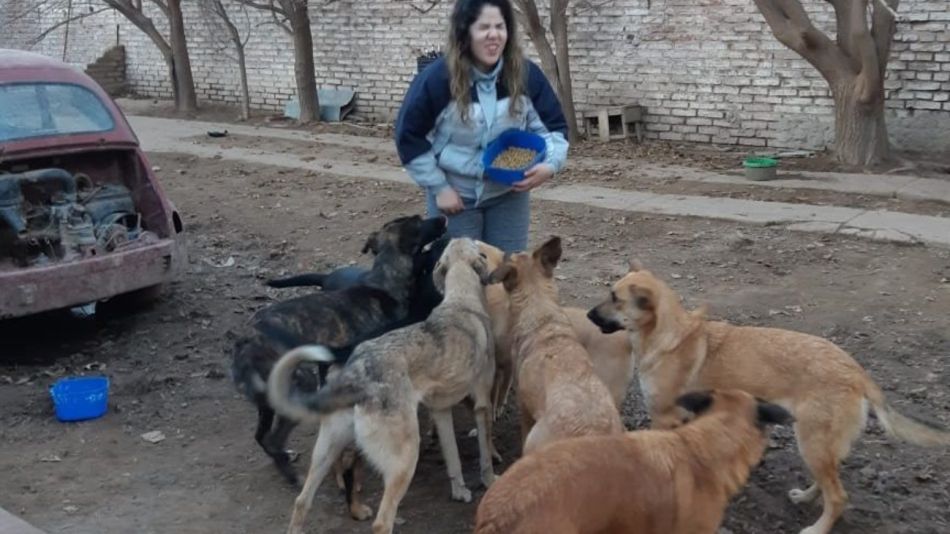 perros rio negro 08062019