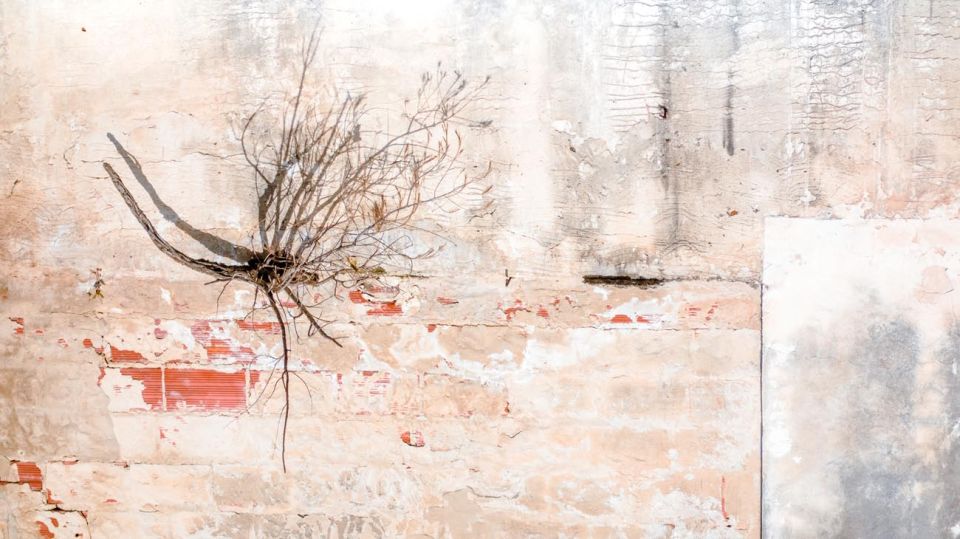 20190807 Sony World Photography Award_g