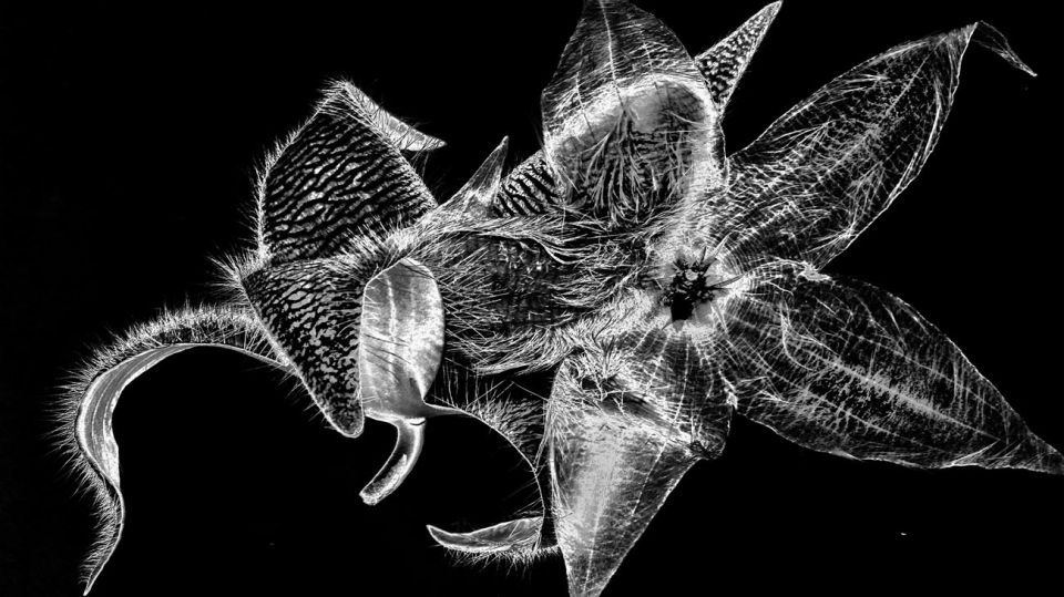 20190807 Sony World Photography Award_g