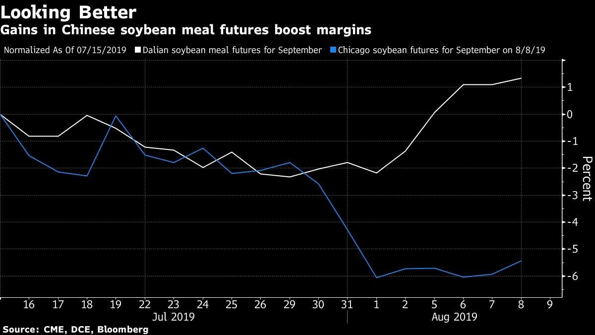 Gains in Chinese soybean meal futures boost margins