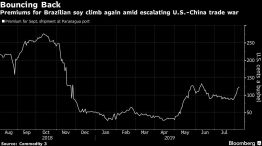 Premiums for Brazilian soy climb again amid escalating U.S.-China trade war