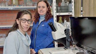 20190810_mosquitos_resistentes_gzaexactascomunicacion_g.jpg