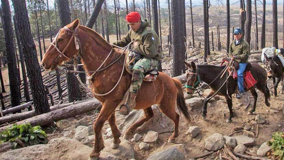 20191008_seguridad_frontera_voto_ministeriodeseguridad_g.jpg