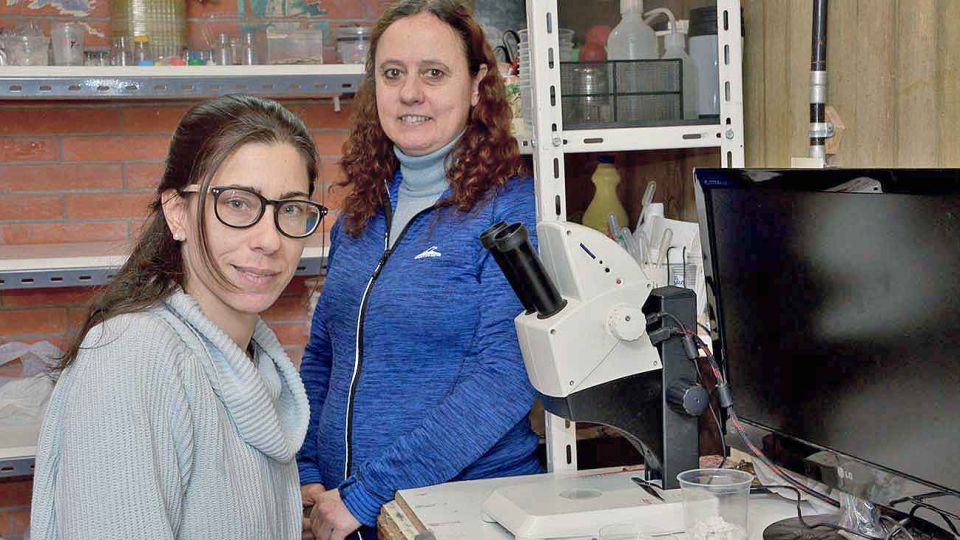 Expertas. María Sol de Majo y Sylvia Fischer, investigadoras de Exactas.