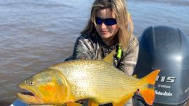 Hermoso dorado en manos de una joven y entusiasta pescadora que, luego de sacarlo, lo devolvió sano y salvo a su medio natural. Pescado con una mojarra de media agua que tomó a mitad de camino. Seguro rondaba los cinco kilos de peso.