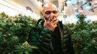tyson marihuana 140819
