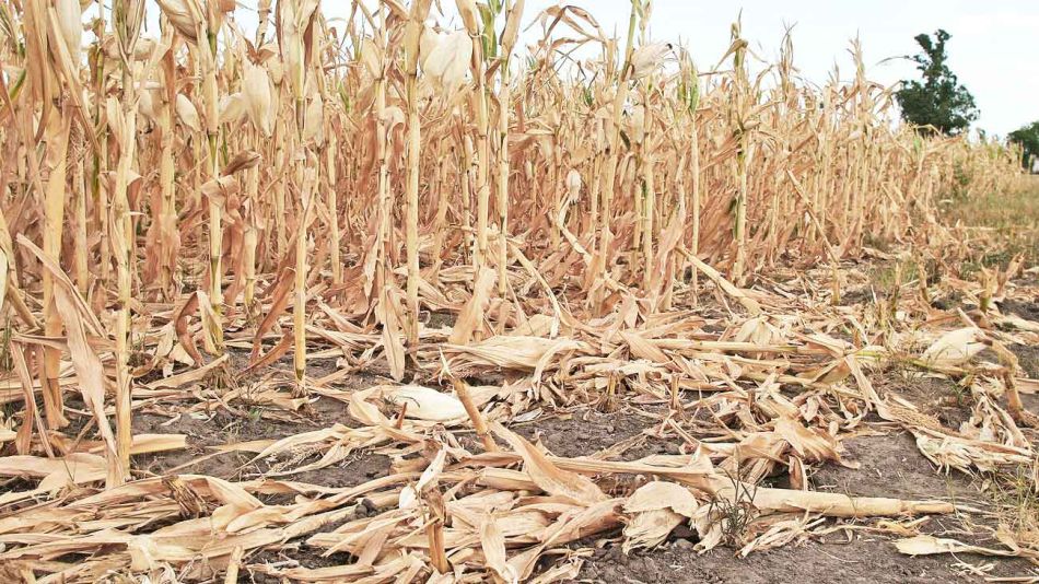 20190818_cambio_climatico_sequia_cedoc_g.jpg