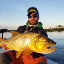 Obtuvimos hermosos dorados en un nuevo pesquero cercano a Esquina.